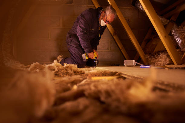 Best Eco-Friendly Insulation in Fairmead, CA